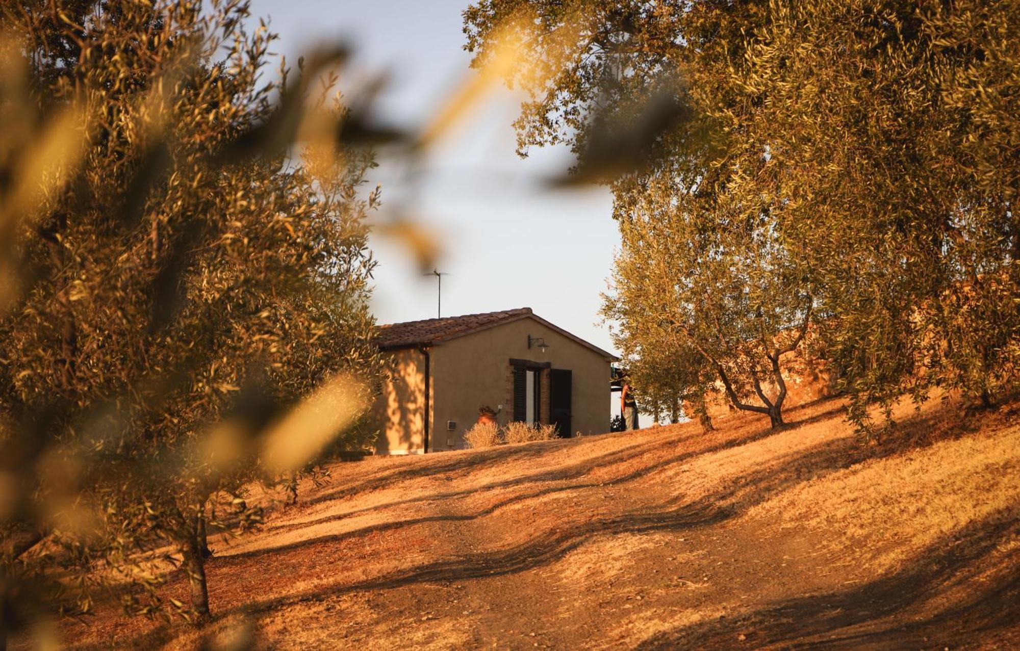 Penzion Country House Poggio Aione Catabbio Exteriér fotografie