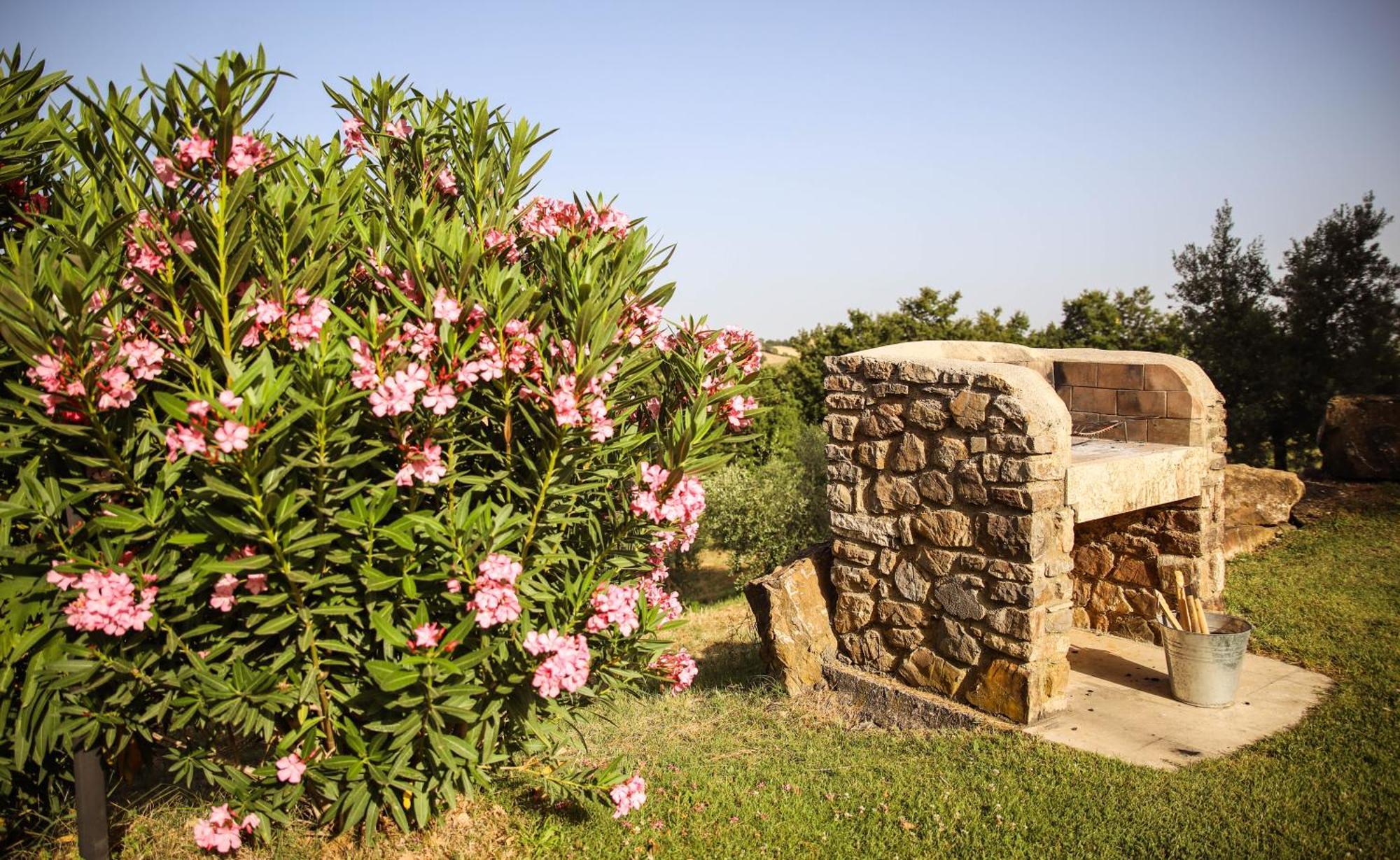Penzion Country House Poggio Aione Catabbio Exteriér fotografie